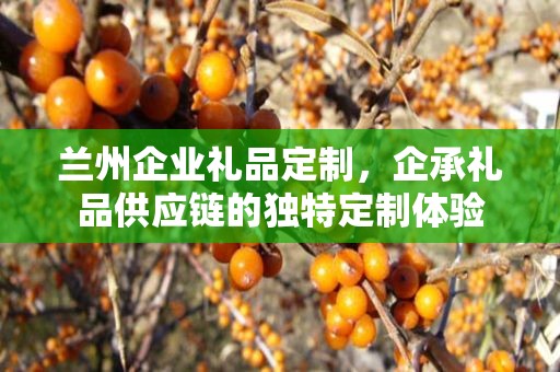 兰州企业礼品定制，企承礼品供应链的独特定制体验