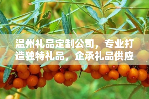 温州礼品定制公司，专业打造独特礼品，企承礼品供应链引领行业新风尚