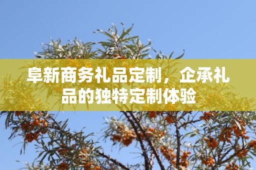 阜新商务礼品定制，企承礼品的独特定制体验