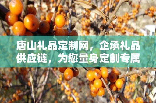 唐山礼品定制网，企承礼品供应链，为您量身定制专属礼品