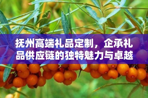 抚州高端礼品定制，企承礼品供应链的独特魅力与卓越服务