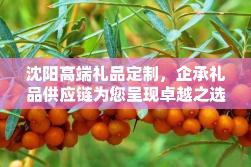沈阳高端礼品定制，企承礼品供应链为您呈现卓越之选