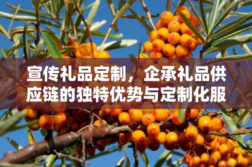 宣传礼品定制，企承礼品供应链的独特优势与定制化服务体验