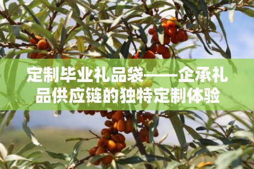 定制毕业礼品袋——企承礼品供应链的独特定制体验