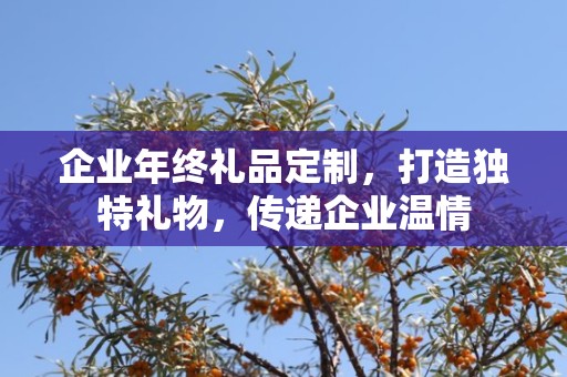 企业年终礼品定制，打造独特礼物，传递企业温情