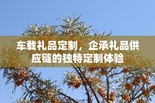 车载礼品定制，企承礼品供应链的独特定制体验